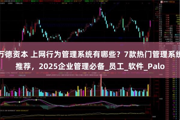 万德资本 上网行为管理系统有哪些？7款热门管理系统推荐，2025企业管理必备_员工_软件_Palo