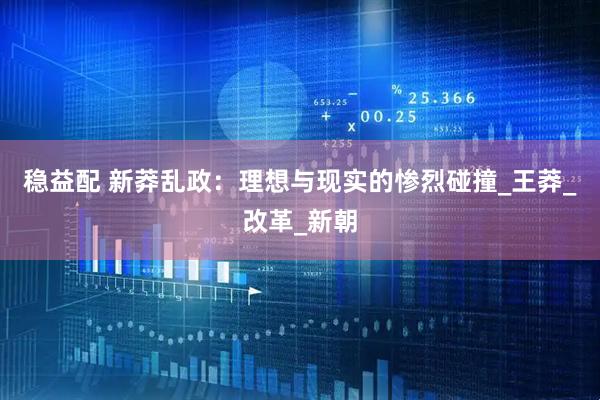 稳益配 新莽乱政：理想与现实的惨烈碰撞_王莽_改革_新朝