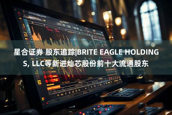 星合证券 股东追踪|BRITE EAGLE HOLDINGS, LLC等新进灿芯股份前十大流通股东