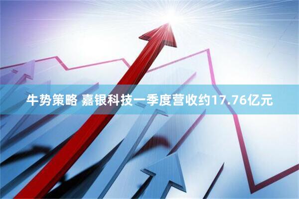 牛势策略 嘉银科技一季度营收约17.76亿元